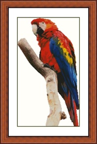Scarlet Macaw Cross Stitch